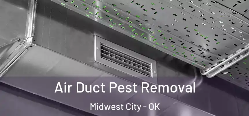  Air Duct Pest Removal Midwest City - OK