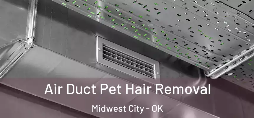 Air Duct Pet Hair Removal Midwest City - OK