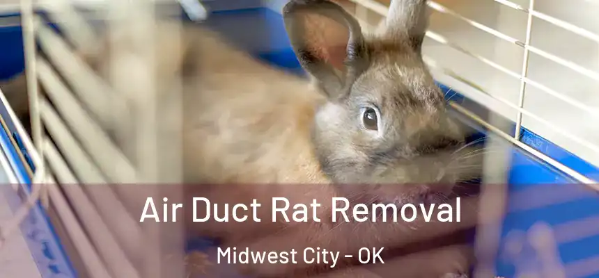  Air Duct Rat Removal Midwest City - OK