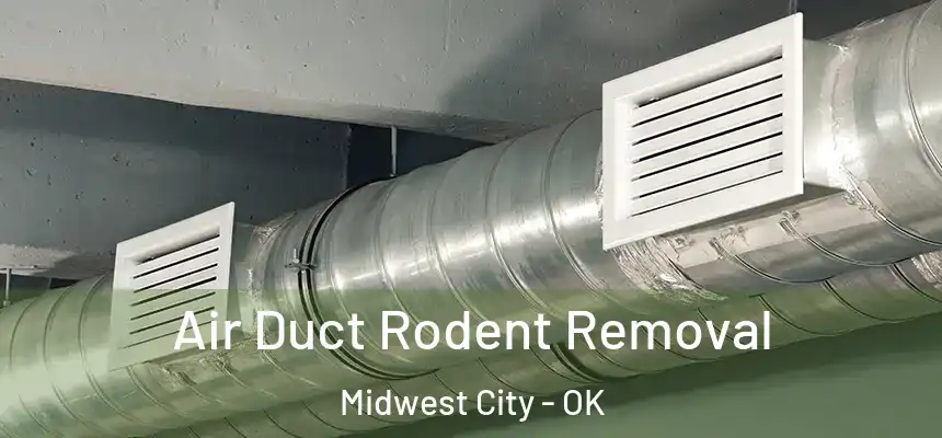 Air Duct Rodent Removal Midwest City - OK