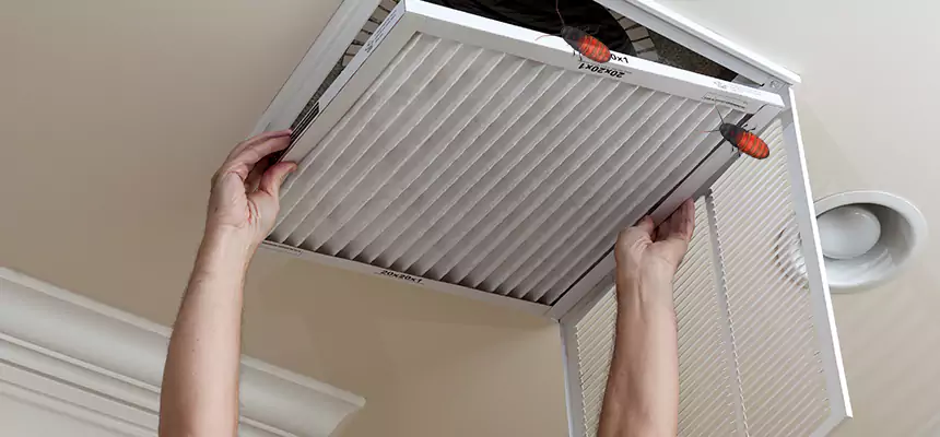 Preventive Cockroach-Proofing for Ducts in Midwest City