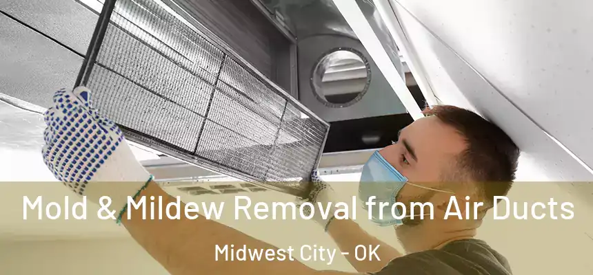 Mold & Mildew Removal from Air Ducts Midwest City - OK