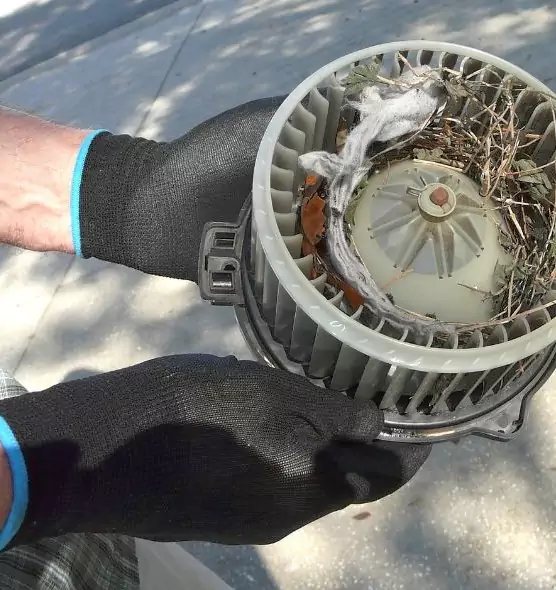 About Air Duct Rat Removal in Midwest City, OK